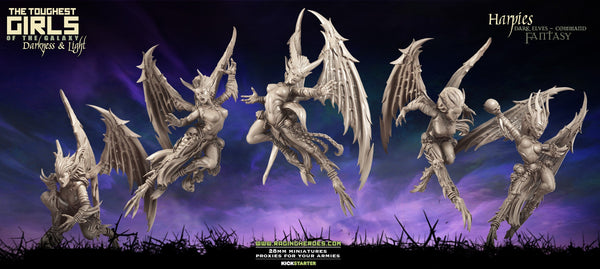 Dark Elves Multipack exclusif avec Harpies