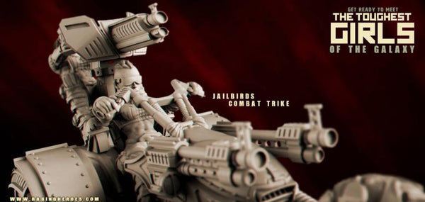 WINTER PACK Jailbirds Division : Daughters of Anarchy