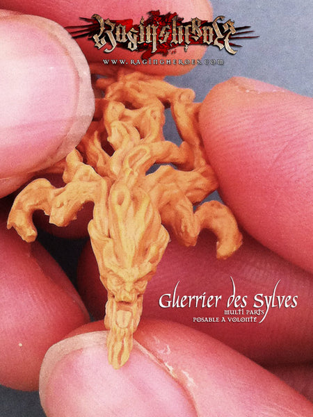 Les Guerriers des Sylves