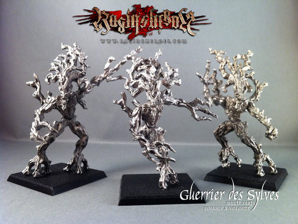 Les Guerriers des Sylves