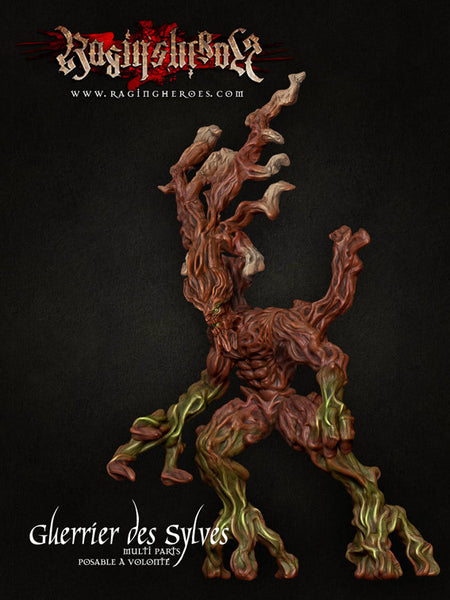 Les Guerriers des Sylves